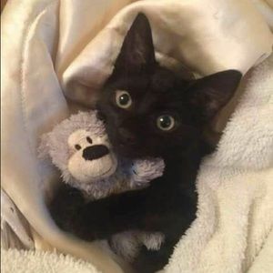 Meet your Posher, Dana